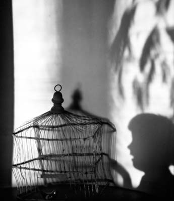 Birdcage and Shadows, 1921