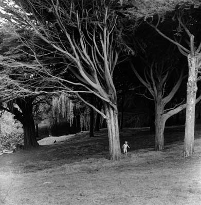 Child in Landscape, 1966